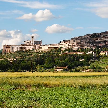 Bed and Breakfast Vista Ассізі Екстер'єр фото