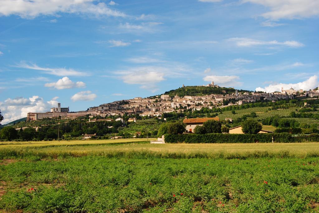 Bed and Breakfast Vista Ассізі Екстер'єр фото